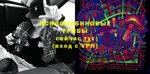 МДПВ Елизово