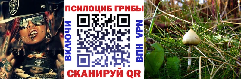 Купить Заозёрный Псилоцибиновые грибы ЛСД